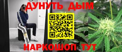 шишки Кингисепп