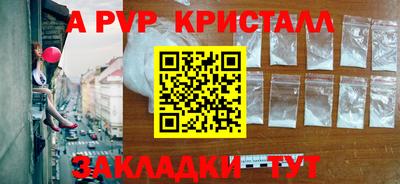 шишки Кингисепп