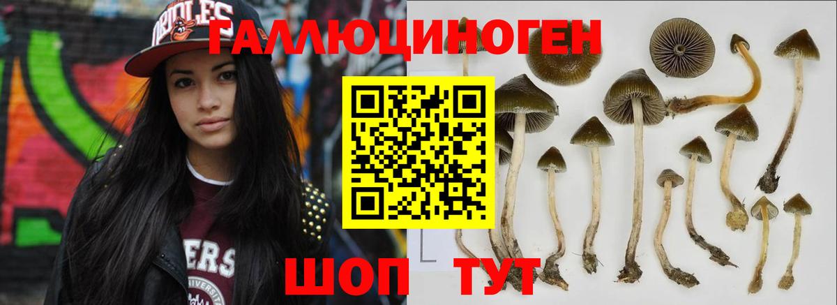 Галлюциногенные грибы GOLDEN TEACHER  Вход с VPN  Кимовск 