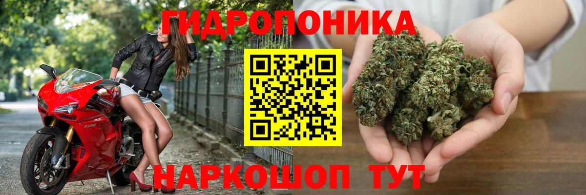 Бошки марихуана Bruce Banner Кимовск